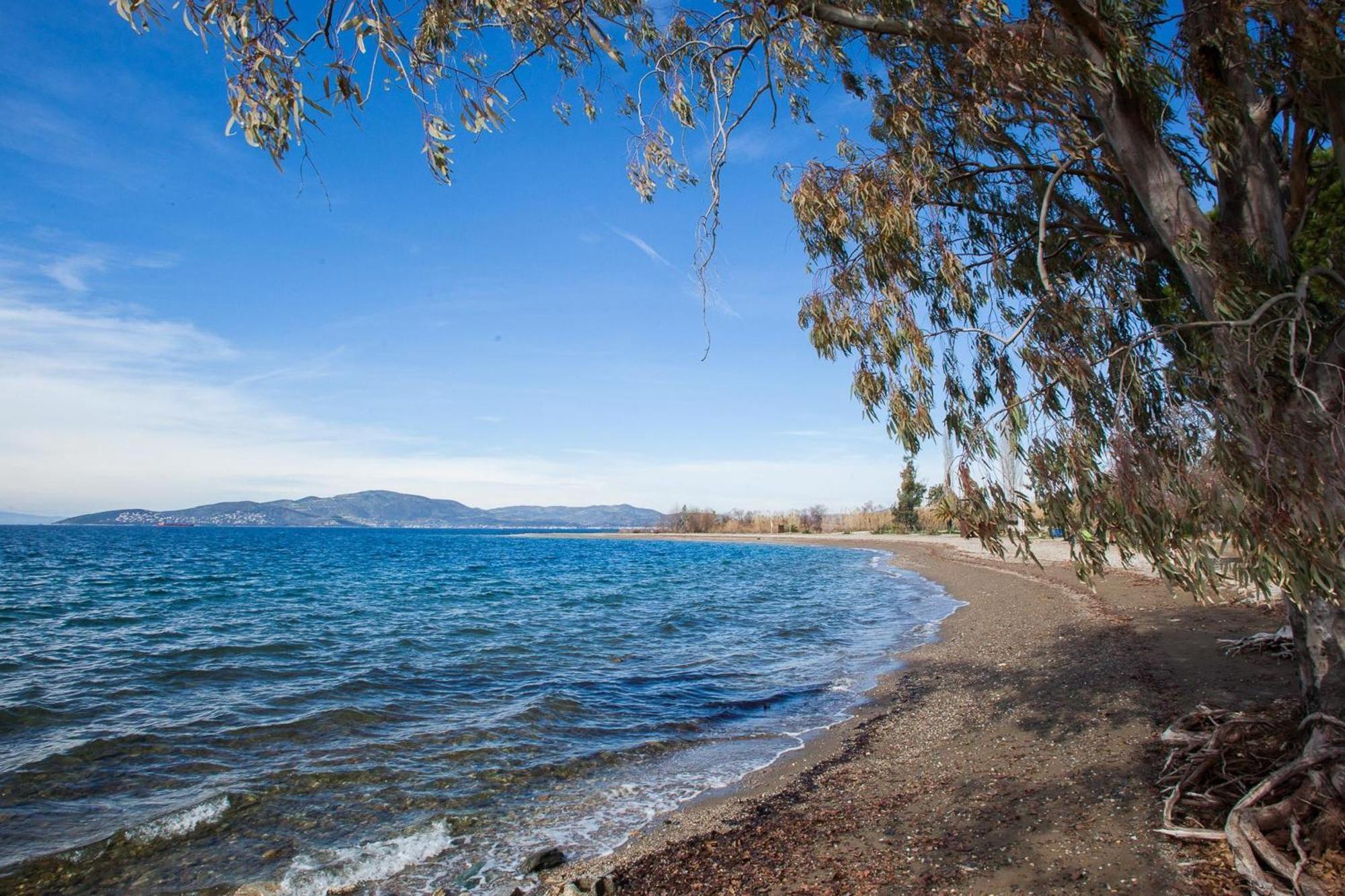 Villa Karnagio Seafront In Agria Káto Lekhónia Exterior foto